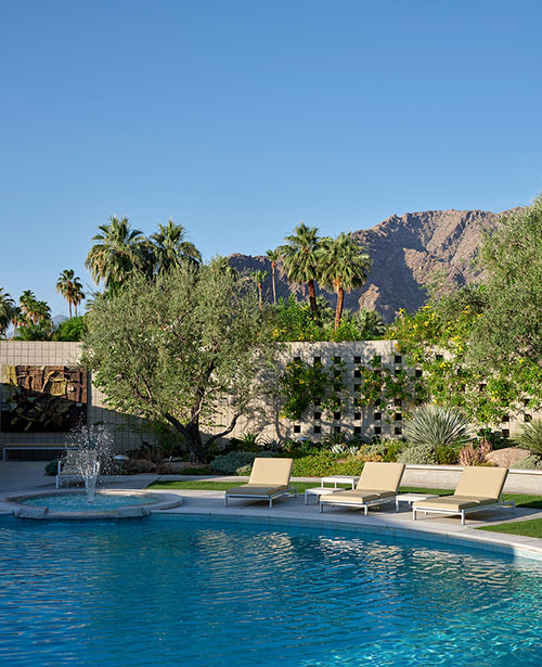 The garden of Brent Harris, with the San Jacinto Mountains in the background