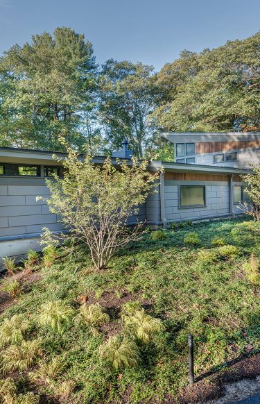modern home with concrete retaining wall bermed into the landscape