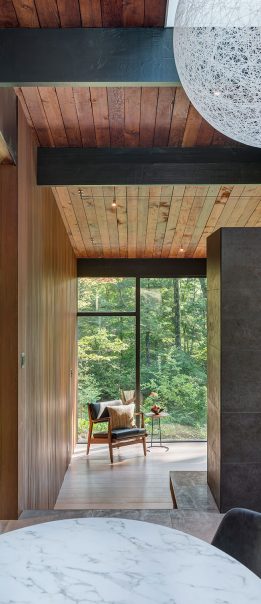 mid-century modern interior with wood ceiling