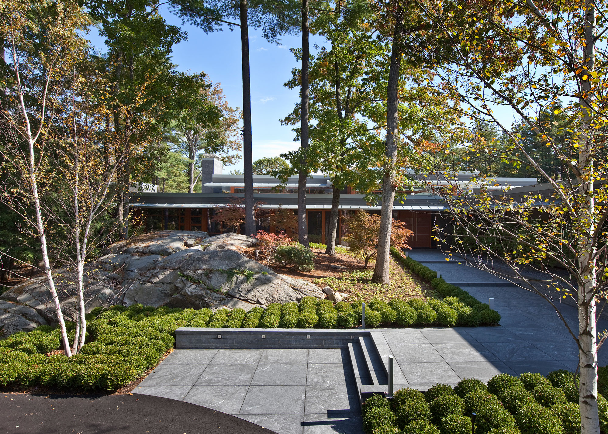 landscaped front entry terrace with ledge and birch trees