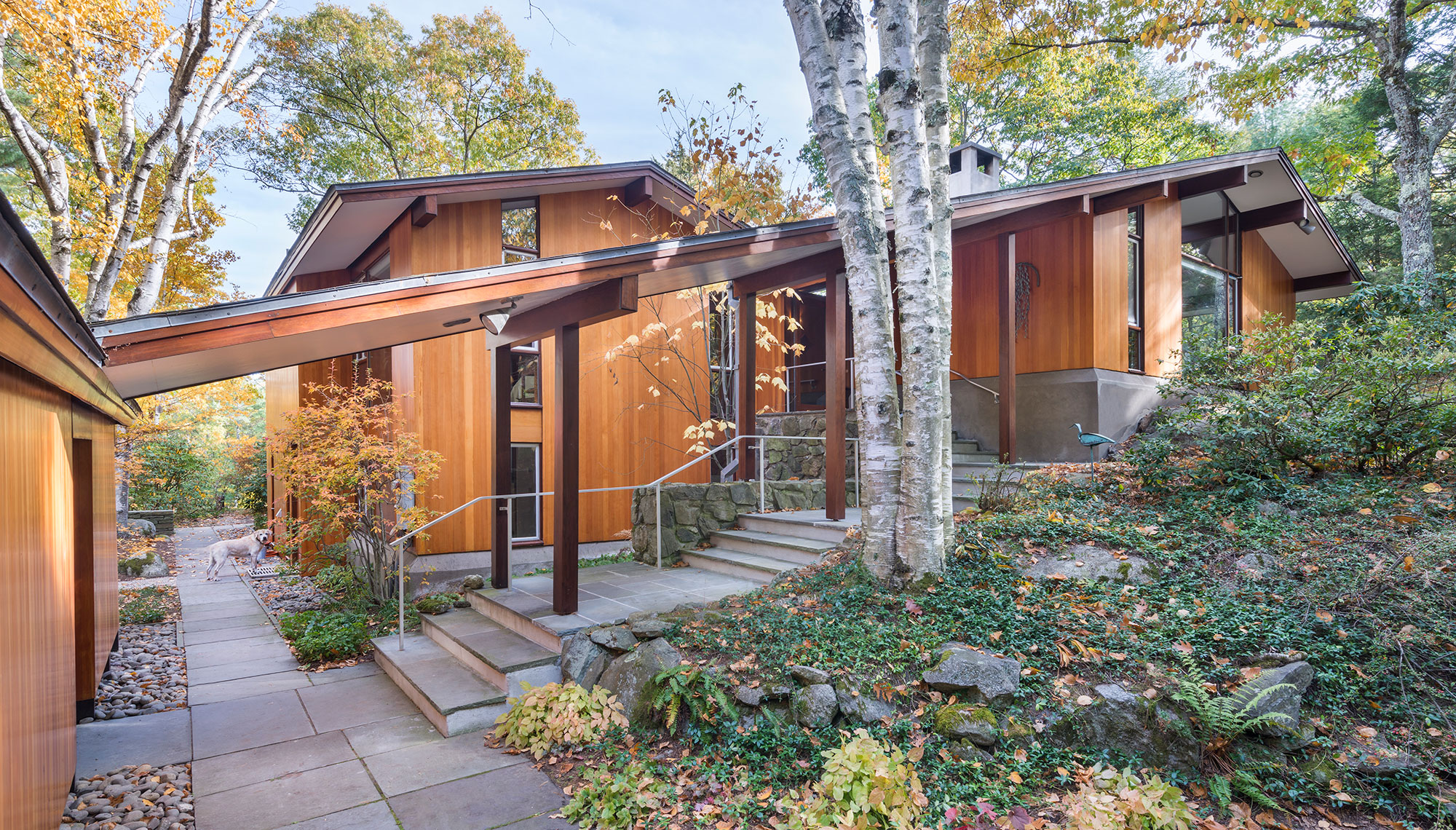 mid-century modern exterior entry covered with steps